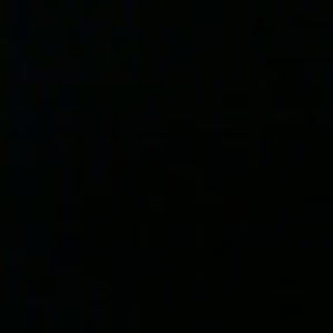 Meet your Posher, King